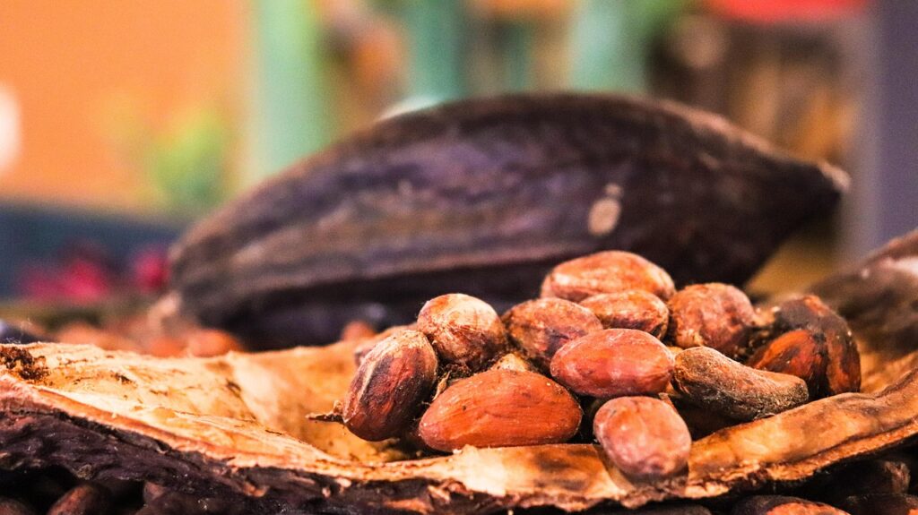 Cacao pod and cacao beans